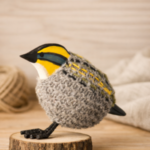 Seven-Colored Bird