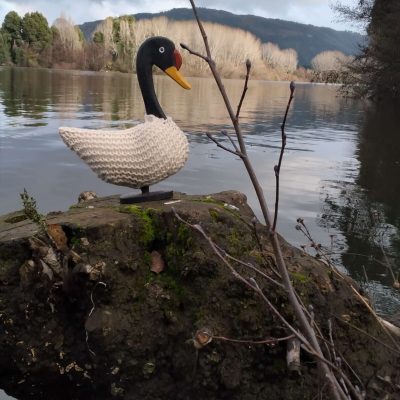 Artesanía de Chile en La Unión: Colección de figuras de animales en lana tejida y madera tallada a mano de Kalkona. En la imagen se aprecia la delicadeza del oficio manual y la conexión con la naturaleza del sur chileno. Ideal para decoración con propósito y regalos con alma. Encuéntranos en redes como @KalkonaChile y coordina tu pedido al WhatsApp +56991320953 para envíos a todo el país.